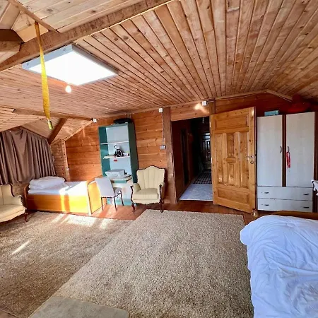 Apartment Ahsap Çamlıhemşin